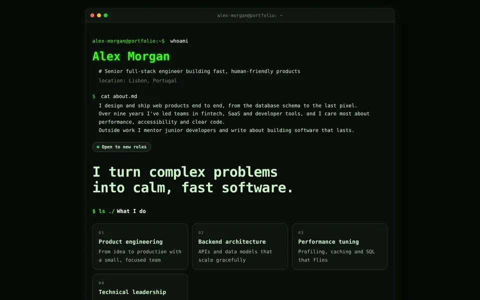 Terminal / Developer theme